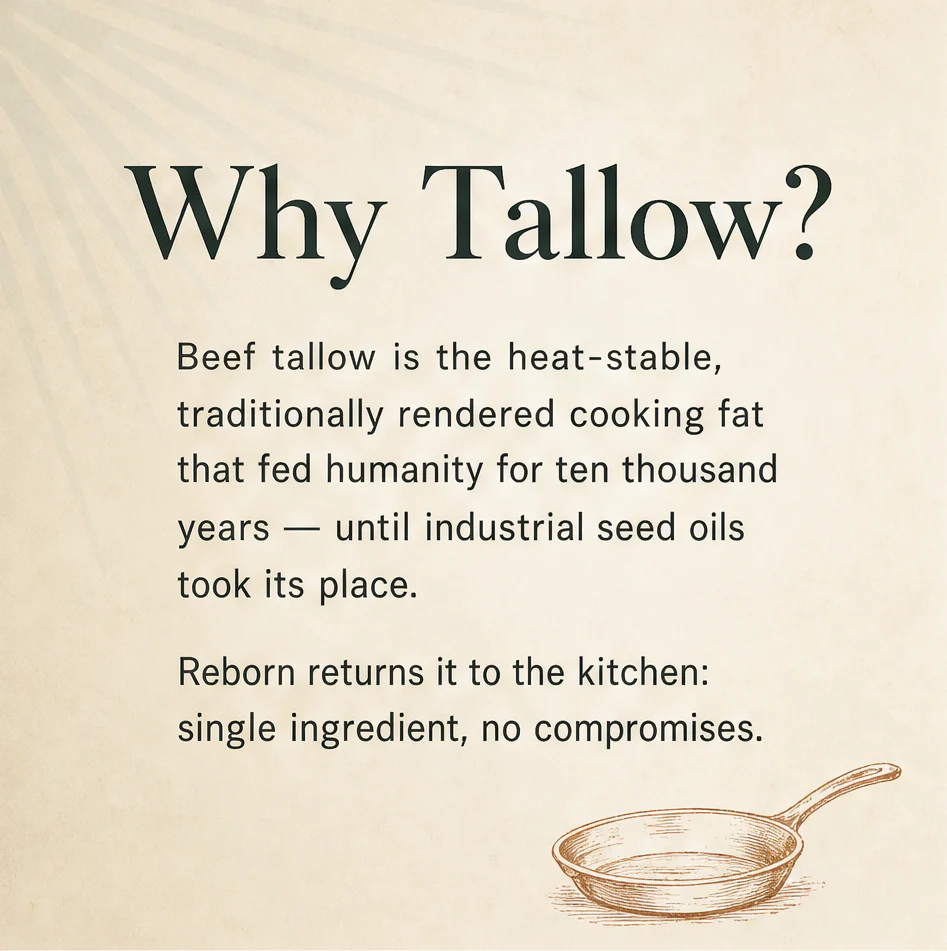 Beef Cooking Tallow - Image 3