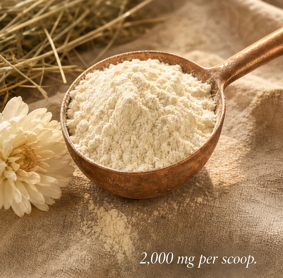 Bovine Colostrum - Image 5